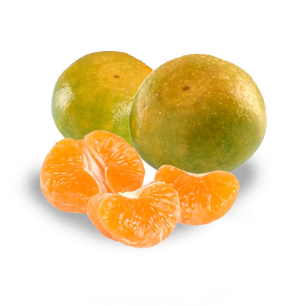 MANDARINA MEDIA