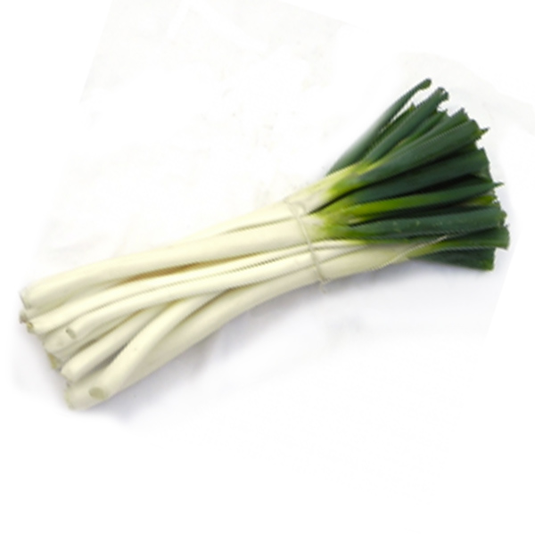 CEBOLLA BLANCA