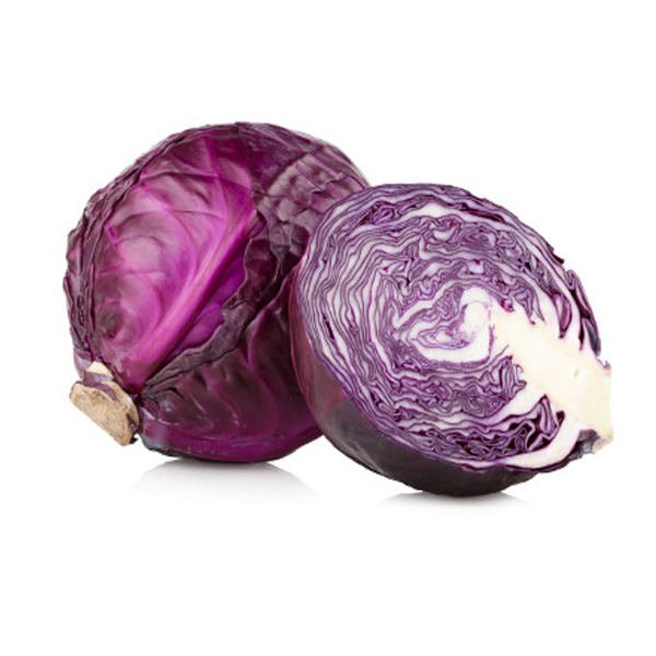 COL MORADA